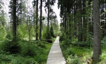 Wanderungen
